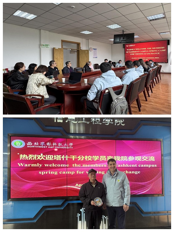 光影魔术手拼图.jpg